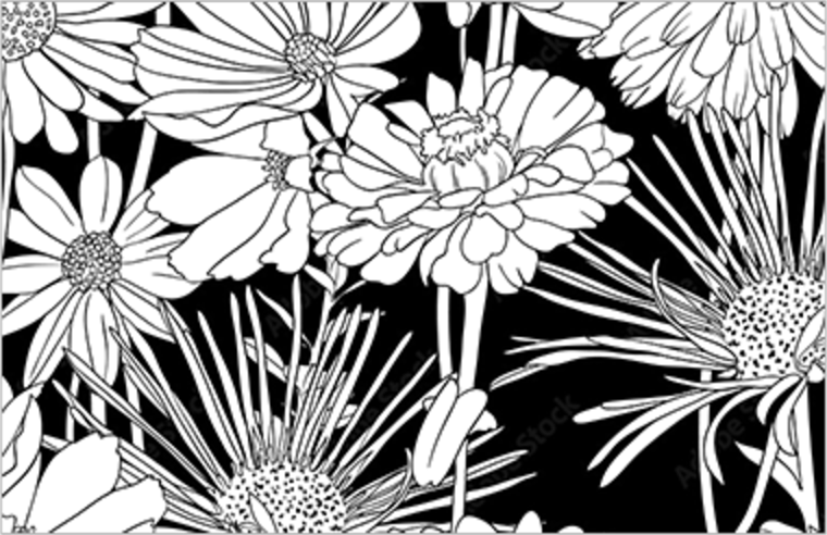 Floral rectangle graphic