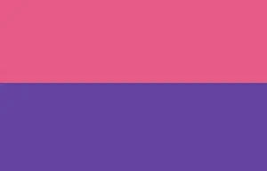 Pink and purple rectangle graphic